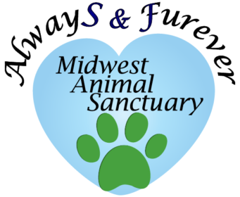 Always and Furever Midwest Animal Sanctuary