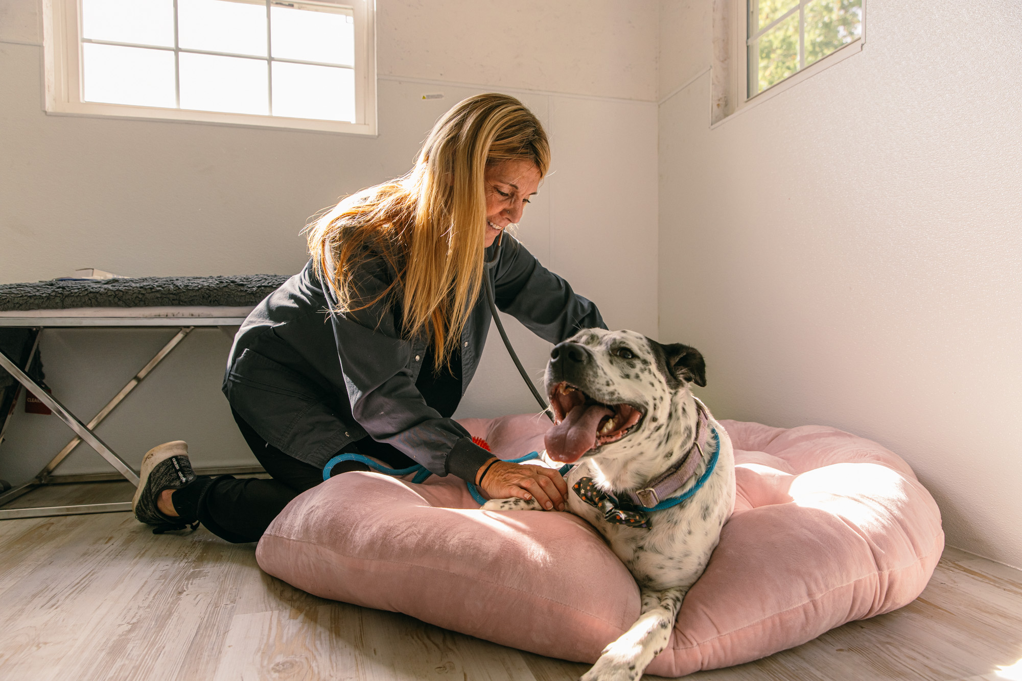A caregiver comforting a dog on a soft bed
