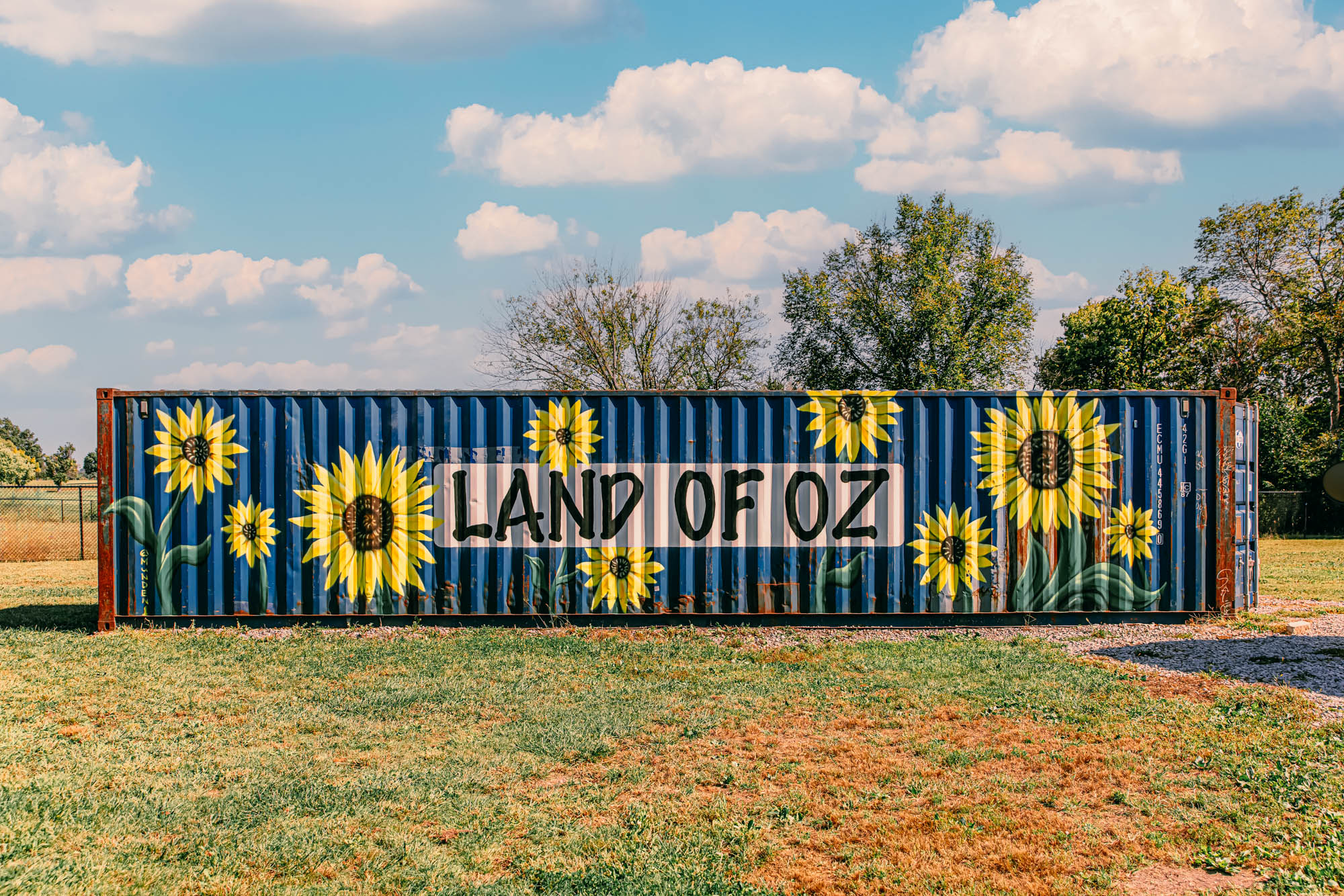 The Land of Oz sunflower mural at an Always and Furever location