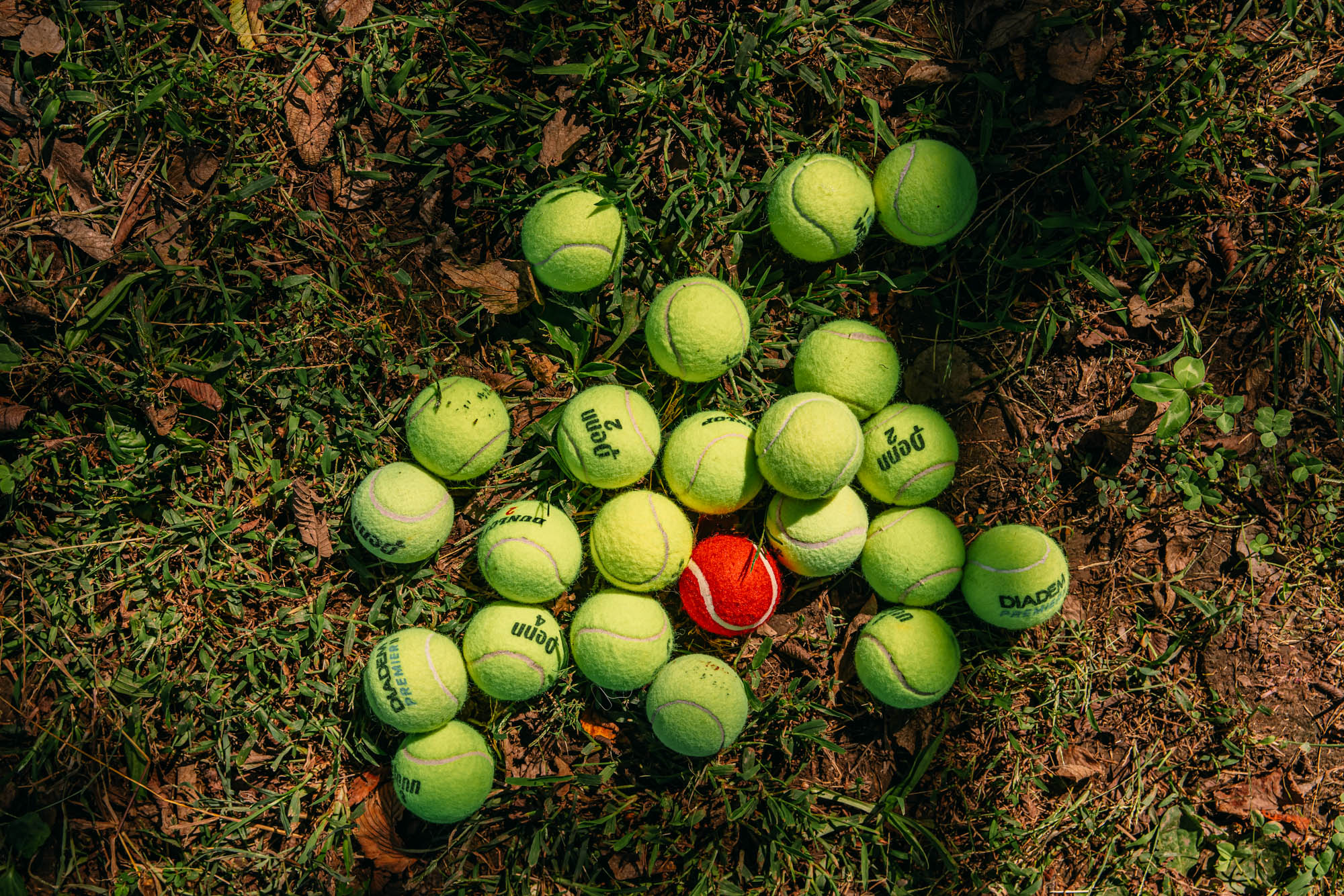 Tennis balls arranged in a heart on the grass