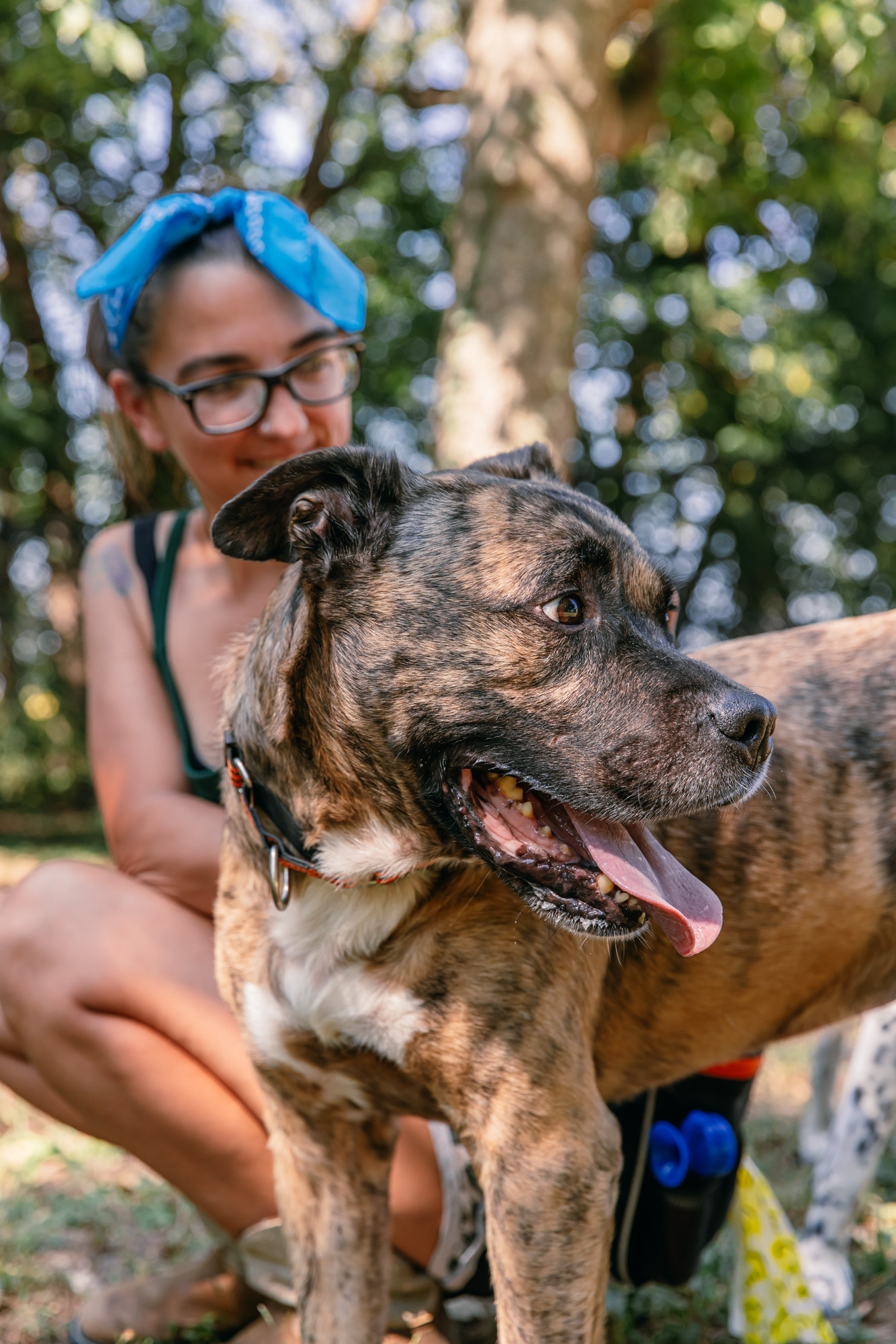 Wichita Rescue Wichita | Always & Furever Midwest Animal Sanctuary