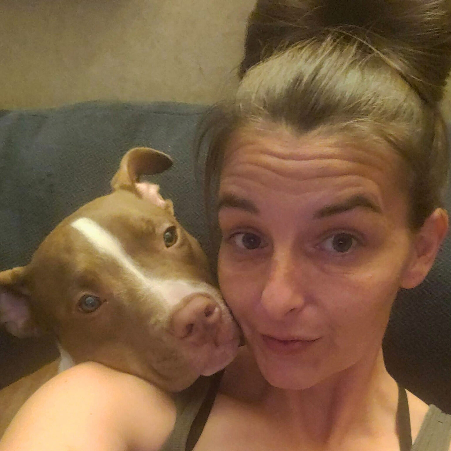 Meet the Team | Always & Furever Midwest Animal Sanctuary
