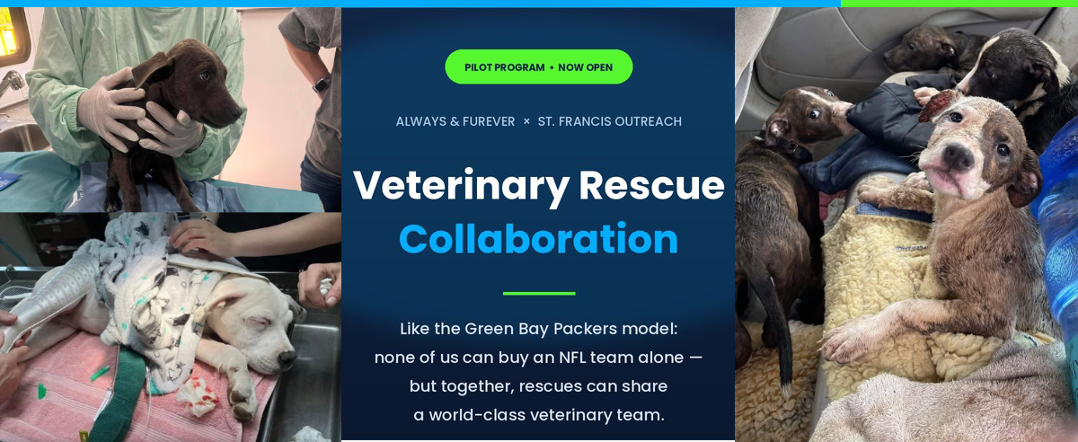Veterinary Rescue Collaboration Program — rescue organizations sharing access to a world-class veterinary team.