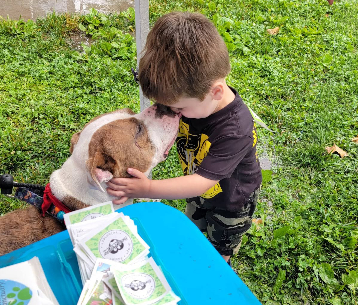 Farley, a rescued dog at Always & Furever, getting a happy kiss