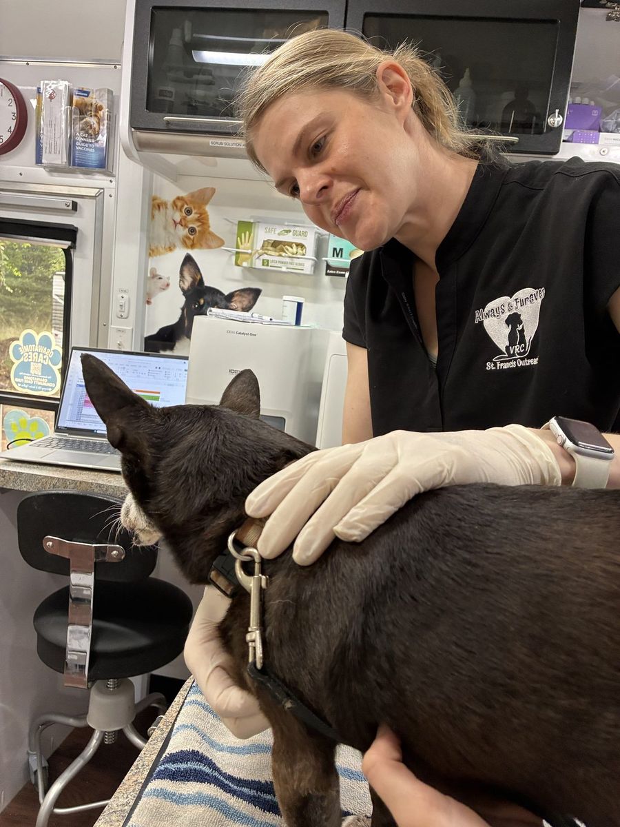 A veterinary team member examines a black dog with a stethoscope inside the mobile clinic.