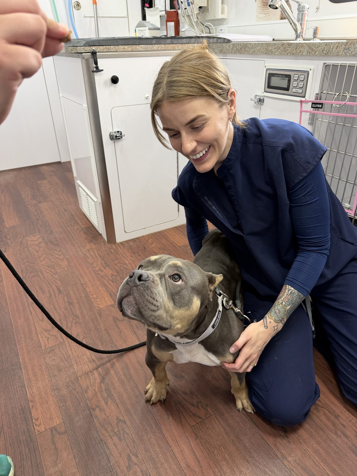 A veterinary technician sits on the floor with a dog.